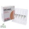 Nandrolone Decanoate (Deca) Decabal  250mg/ml 10 x 1ml ampoules  Brand Global Pharma